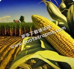專注體育領域，用心服務每一位用戶 - kaiyun